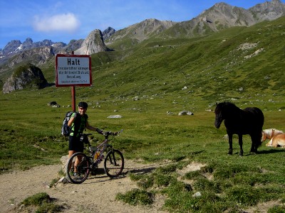 tag3-SchweizerGrenze