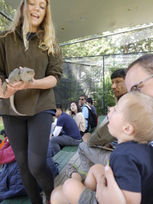 TierShowVogelpark
